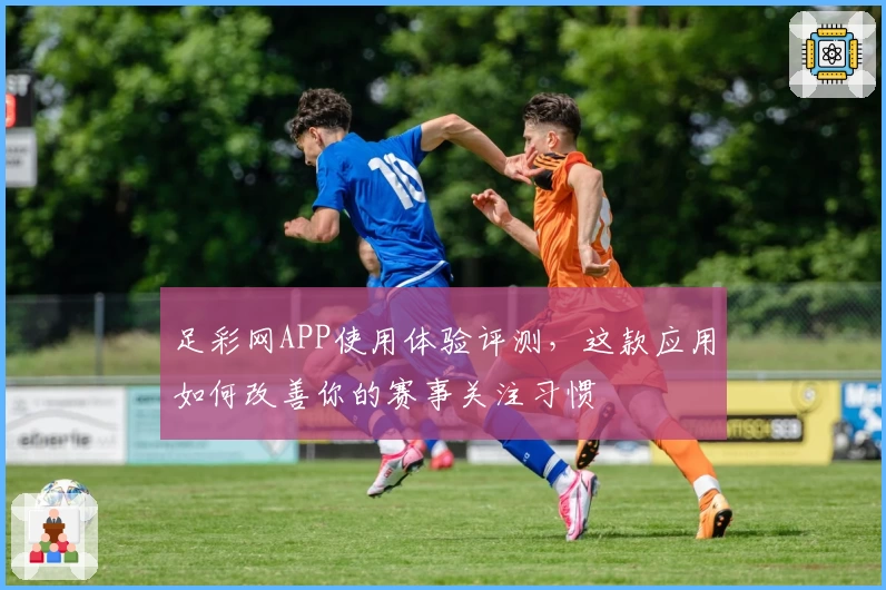足彩网APP使用体验评测，这款应用如何改善你的赛事关注习惯