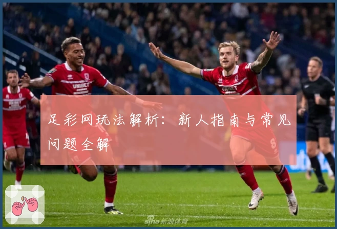 足彩网玩法解析：新人指南与常见问题全解